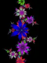 FLORES DE COLORES