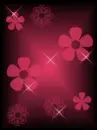 FLORES DE COLORES