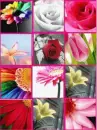 MOSAICO DE FLORES