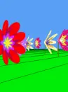FLORES DE COLORES