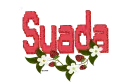 suada 
