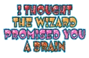 I thought the wizard promised you a brain