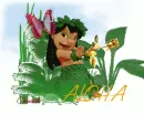 Aloha