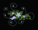 blue flowers