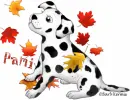 Fall puppy - Pami
