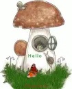 Hello