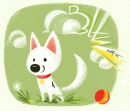 Bolt