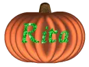 Pumpkin - Rita