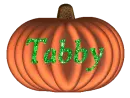 Pumpkin - Tabby