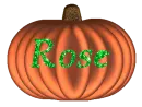 Pumpkin - Rose