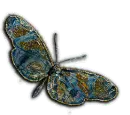 zt - Butterfly