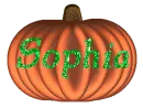 Pumpkin - Sophia