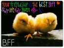 BFFS :]