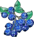 blueberries