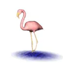 flamingo