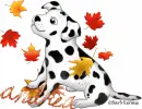 Dalmation puppy - Andrea