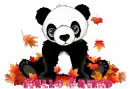 fall panda bear Hello Friend