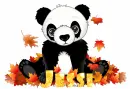 fall panda bear - Jessi
