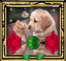 Cute Friends