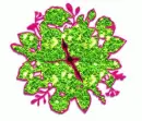 GreenClock