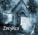Zvezdica
