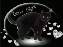 Good night