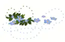 Little Blue Flowers
