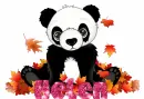 fall panda bear - Helen