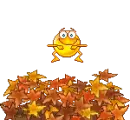 Happy Up