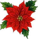 Red Christmas