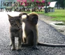 aww bff :]