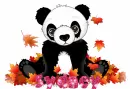 Fall panda - Sydney