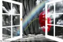 Rain&Rainbow