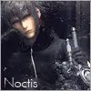 Noctis Lucis Caelum