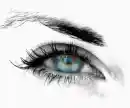 eye