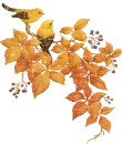 AUTUMN LEAVEs