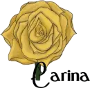 Yellow Rose Carina