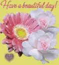 Have a Beautiful day