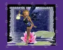 Fairy Night