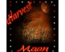 Harvest Moon