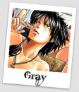 fairy Tail gray