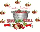 Fruits Autumn