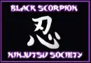 Ninjutsu Society