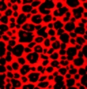 Cheetah Print