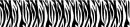 Zebra Border
