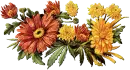 AUTUMN FLOWERS