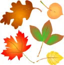 AUTUMN LEAVES