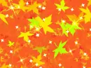 AUTUMN LEAVES