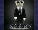 I'm Star