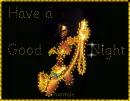 Have a Good Night